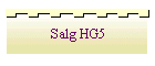 Salg HG5